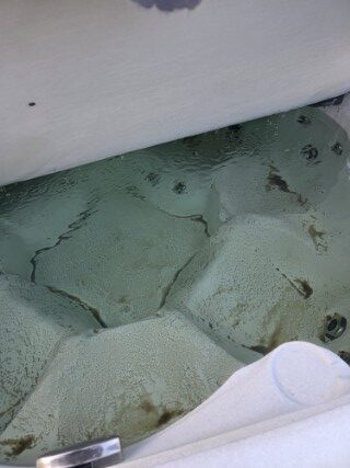 20251213_123042 20251213_123042