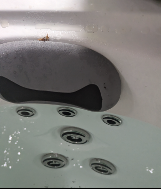 Screenshot_20260331-093855