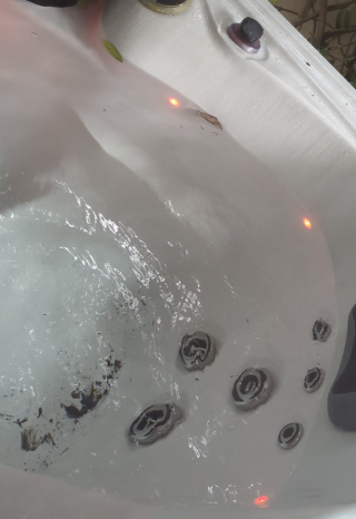 Screenshot_20260331-094043